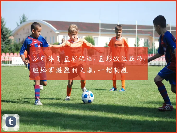 沙巴体育蓝彩玩法,蓝彩投注技巧,轻松掌握盈利之道,一招制胜